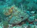IMG_4507 r1